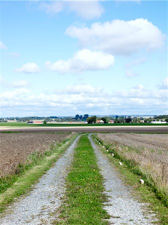 simsearch:6102-08760179,k - Scenery with a graveled road in the foreground, Sweden. Foto de stock - Sin royalties Premium, Código: 6102-06470520