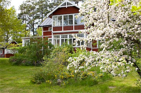 simsearch:6102-06470764,k - A red house with a garden, Sweden. Stock Photo - Premium Royalty-Free, Code: 6102-06470649