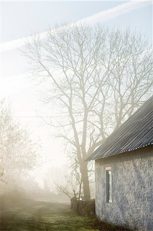 simsearch:6102-08642102,k - A house in a hazy landscape, Sweden. Photographie de stock - Premium Libres de Droits, Code: 6102-06470792