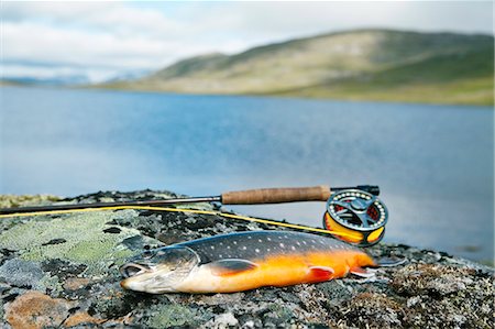 Fishing rod and char with lake in background Photographie de stock - Premium Libres de Droits, Code: 6102-06470804