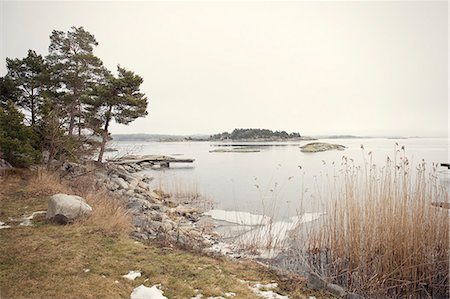 plants winter ice - Lake at winter Stock Photo - Premium Royalty-Free, Code: 6102-06471024