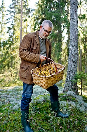 Mature man with basket full of mushrooms Stock Photo - Premium Royalty-Free, Code: 6102-06471273