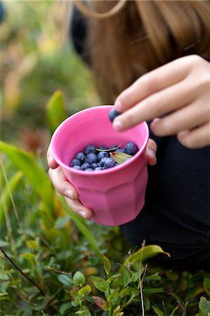 pic - Girl picking blueberries Photographie de stock - Premium Libres de Droits, Code: 6102-06777348