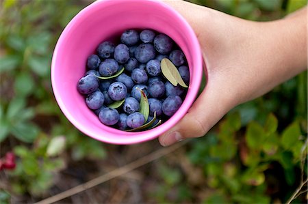 single berry - Girl picking blueberries Stock Photo - Premium Royalty-Free, Code: 6102-06777349