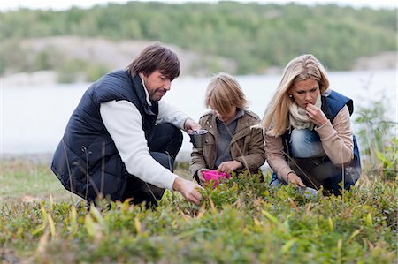 simsearch:6102-06777346,k - Parents and son picking bilberries Photographie de stock - Premium Libres de Droits, Code: 6102-06777391