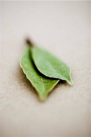 simsearch:6102-08388207,k - Close-up of bay leaves Foto de stock - Sin royalties Premium, Código: 6102-06777721