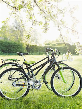 Bicycles in park Stock Photo - Premium Royalty-Free, Code: 6102-06777728