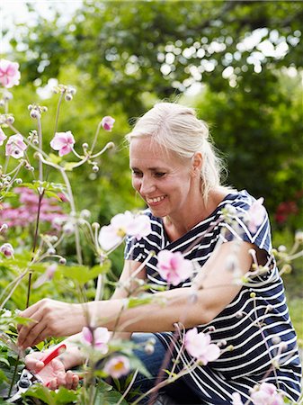 scandinavian ethnicity female - Woman gardening Stock Photo - Premium Royalty-Free, Code: 6102-06965483
