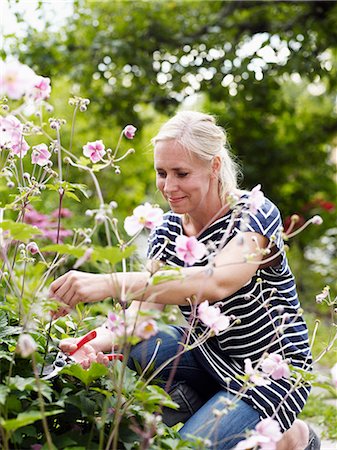 flower bending over - Woman gardening Stock Photo - Premium Royalty-Free, Code: 6102-06965484