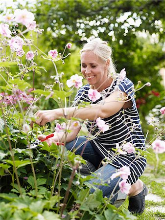 simsearch:6102-06965813,k - Woman gardening Foto de stock - Sin royalties Premium, Código: 6102-06965485