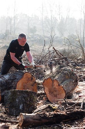Senior man chopping tree Photographie de stock - Premium Libres de Droits, Code: 6102-06965625