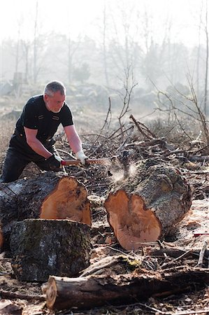 simsearch:6102-07768376,k - Senior man chopping tree Foto de stock - Royalty Free Premium, Número: 6102-06965625