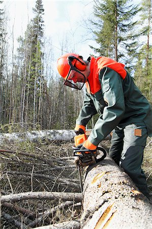 Man sawing tree Stockbilder - Premium RF Lizenzfrei, Bildnummer: 6102-06965821