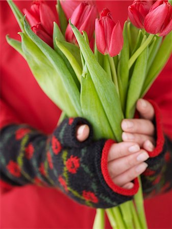 Hands holding red tulips Photographie de stock - Premium Libres de Droits, Code: 6102-07158084