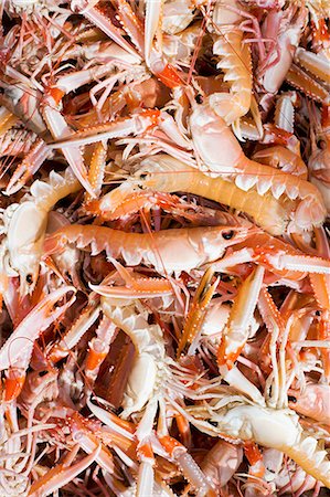 simsearch:6102-07158315,k - Norway lobsters, close-up Foto de stock - Sin royalties Premium, Código: 6102-07158326