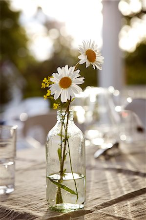 flowers and vases and nobody - Ox-eye daisies in bottle Stock Photo - Premium Royalty-Free, Code: 6102-07282648