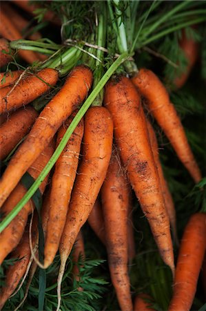 simsearch:6102-08942324,k - High angle view of bunch of carrots Foto de stock - Sin royalties Premium, Código: 6102-07282654