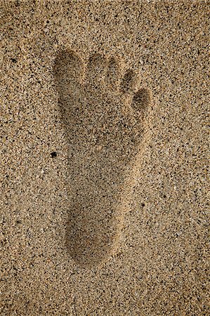 simsearch:600-02886499,k - Footprint on sand, close-up Photographie de stock - Premium Libres de Droits, Code: 6102-07455811