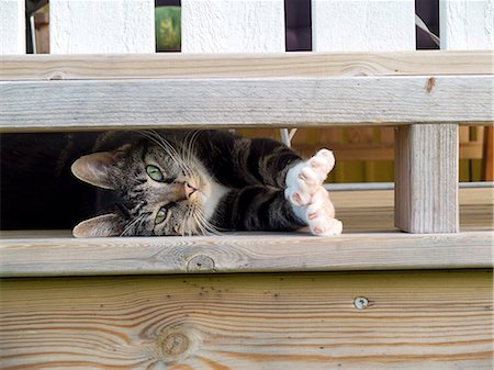 porch - Looking at camera, Vastergotland, Sweden Stock Photo - Premium Royalty-Free, Code: 6102-07602492