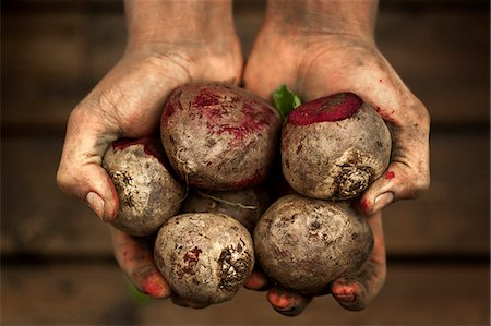 sales person - Hands holding beetroots, studio shot Photographie de stock - Premium Libres de Droits, Code: 6102-07602631