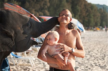 elephant front - Father with baby on beach, Thailand Stock Photo - Premium Royalty-Free, Code: 6102-07602778