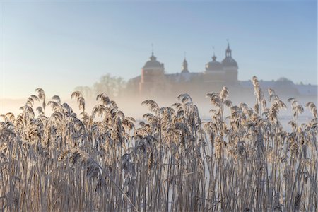 Grass with silhouette of Gripsholm palace, Mariefred, Sodermanland, Sweden Stock Photo - Premium Royalty-Free, Code: 6102-07768362