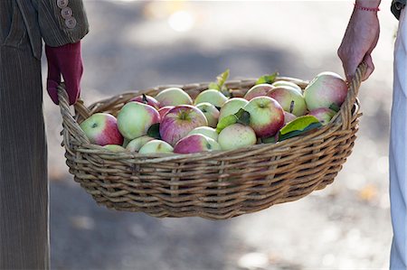 simsearch:6102-07158284,k - People carrying basket full of apples, close-up Stock Photo - Premium Royalty-Free, Code: 6102-07768471