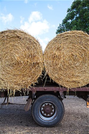 simsearch:6102-06374586,k - Bales of hay on trailer Stockbilder - Premium RF Lizenzfrei, Bildnummer: 6102-07769041