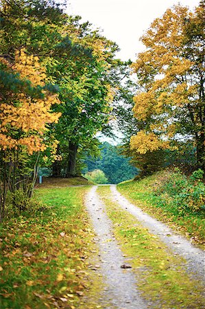 simsearch:6102-08760232,k - Dirt road at autumn Photographie de stock - Premium Libres de Droits, Code: 6102-07769166