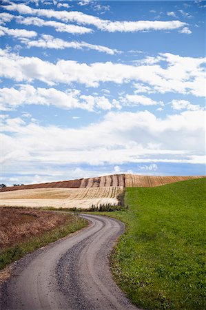 simsearch:6102-08183966,k - View of dirt road Photographie de stock - Premium Libres de Droits, Code: 6102-07769194