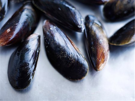 Close-up of mussels Photographie de stock - Premium Libres de Droits, Code: 6102-07769233