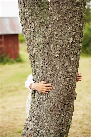 Child hugging tree Stock Photo - Premium Royalty-Free, Code: 6102-07789811