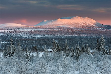 skandinavien - Winter landscape at dusk Photographie de stock - Premium Libres de Droits, Code: 6102-07789986