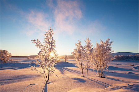 Winter landscape Photographie de stock - Premium Libres de Droits, Code: 6102-07790076