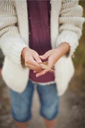 Hands holding wheat Stock Photo - Premium Royalty-Free, Code: 6102-07790030