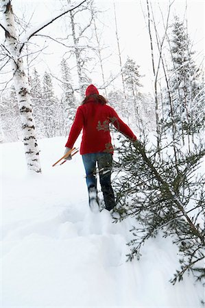 picture of a feast - Woman carrying pine tree at winter, rear view Stock Photo - Premium Royalty-Free, Code: 6102-07842660