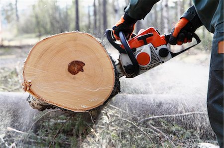 sección transversal - Man sawing tree Foto de stock - Sin royalties Premium, Código: 6102-07842692