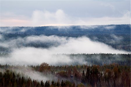 Fog over forest Photographie de stock - Premium Libres de Droits, Code: 6102-07842700