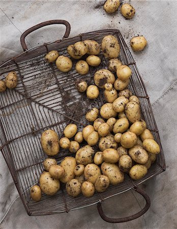 simsearch:6102-08942324,k - New potatoes in basket Foto de stock - Sin royalties Premium, Código: 6102-07842826