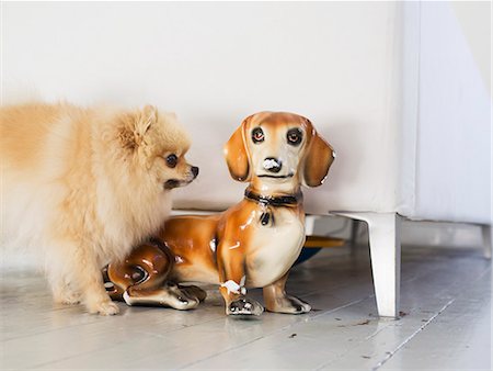 petit chien - Dog smelling porcelain dog Photographie de stock - Premium Libres de Droits, Code: 6102-07843367