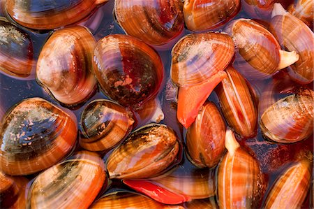 sicily food - Close-up of mussels in water Stock Photo - Premium Royalty-Free, Code: 6102-07843448