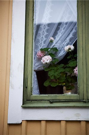 Potted flowers on windowsill Photographie de stock - Premium Libres de Droits, Code: 6102-07843401