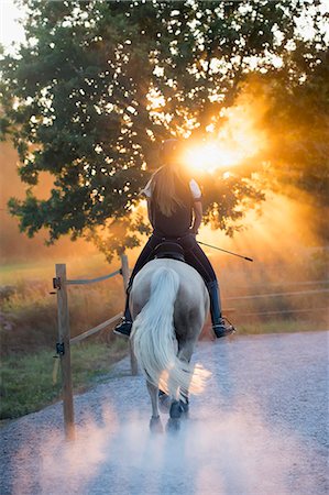 simsearch:6102-07843780,k - Teenage girl riding horse Foto de stock - Sin royalties Premium, Código: 6102-07843749