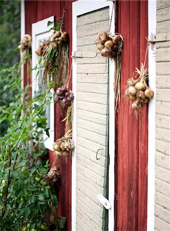 Branches of garlic hanging on house wall Stock Photo - Premium Royalty-Free, Code: 6102-07843929