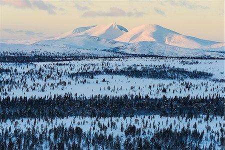 snow forest dusk - Wintery mountains Stock Photo - Premium Royalty-Free, Code: 6102-08062989