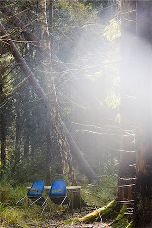 Old chairs in forest Stock Photo - Premium Royalty-Free, Code: 6102-08000590