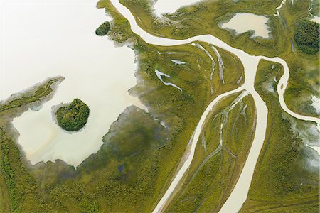 delta de río - Aerial view of river Foto de stock - Sin royalties Premium, Código: 6102-08000644