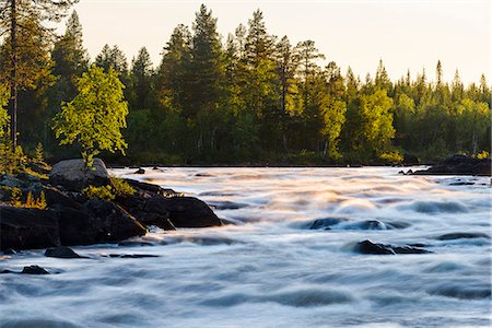 river, rapids - Forest at river Stock Photo - Premium Royalty-Free, Code: 6102-08000657