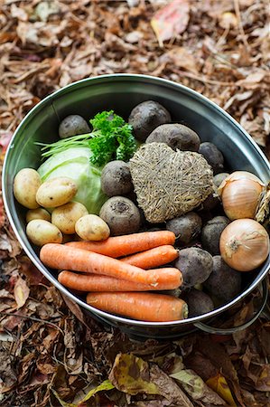 simsearch:6102-08942324,k - Root vegetables in metal washing bowl Foto de stock - Sin royalties Premium, Código: 6102-08000769