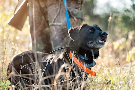 Man hunting with dog Photographie de stock - Premium Libres de Droits, Code: 6102-08000770